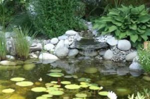 Schwimm- und Gratenteiche