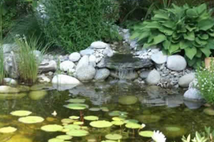 Leistungen Gartenteiche